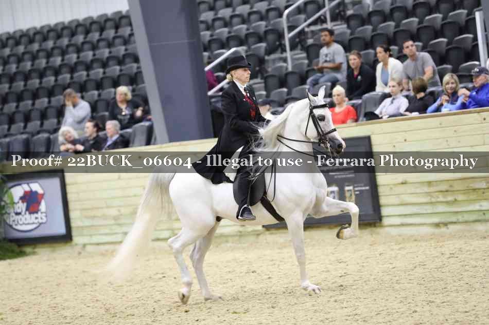 Proof 22BUCK_06604