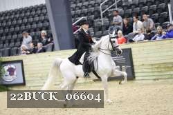 22BUCK_06604 proof