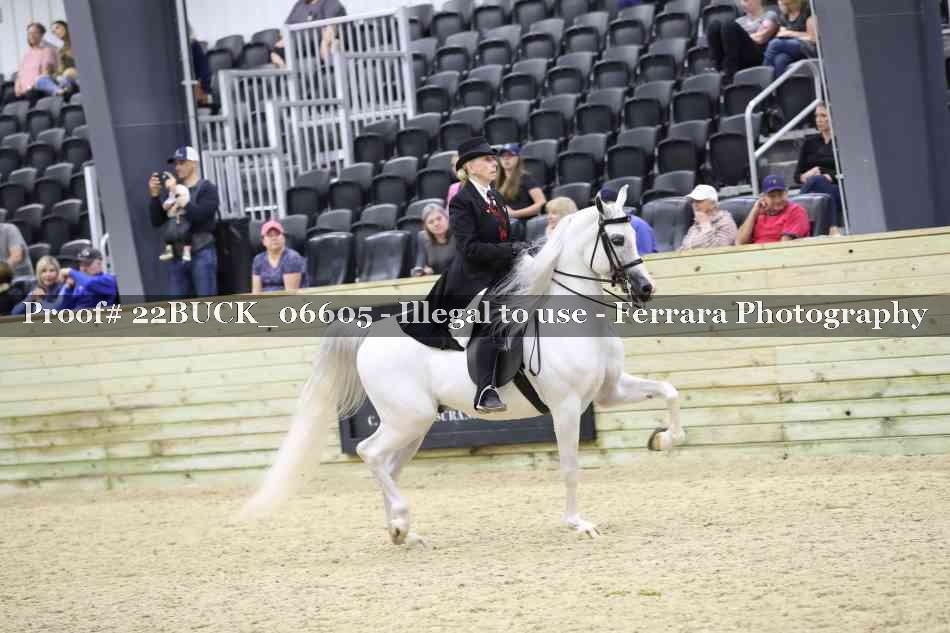 Proof 22BUCK_06605