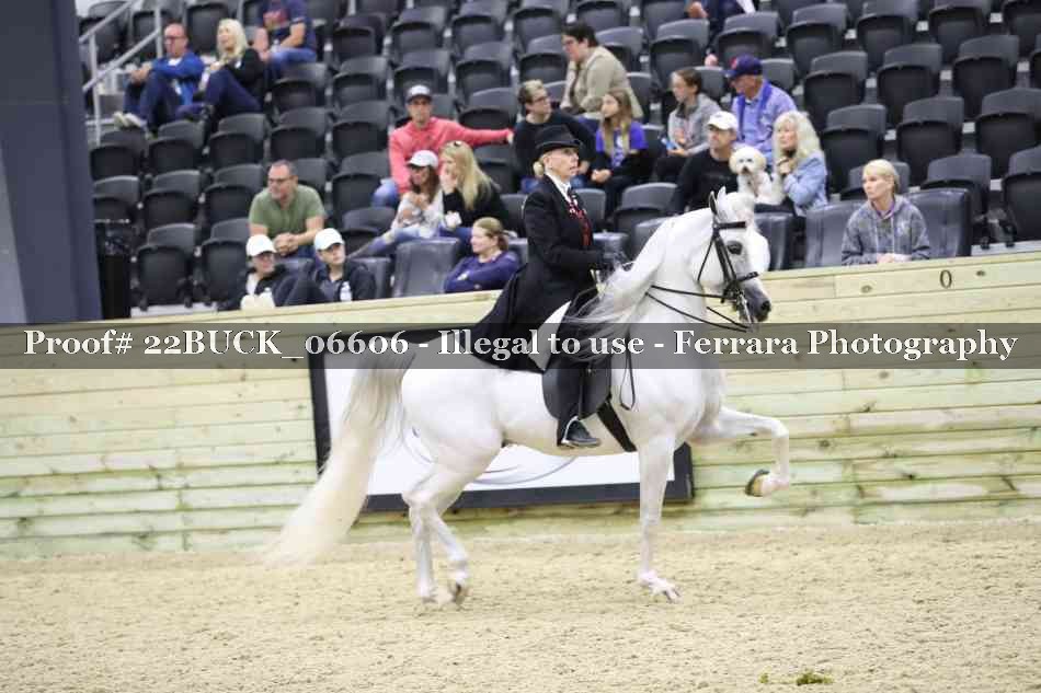 Proof 22BUCK_06606