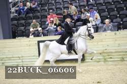 22BUCK_06606 proof