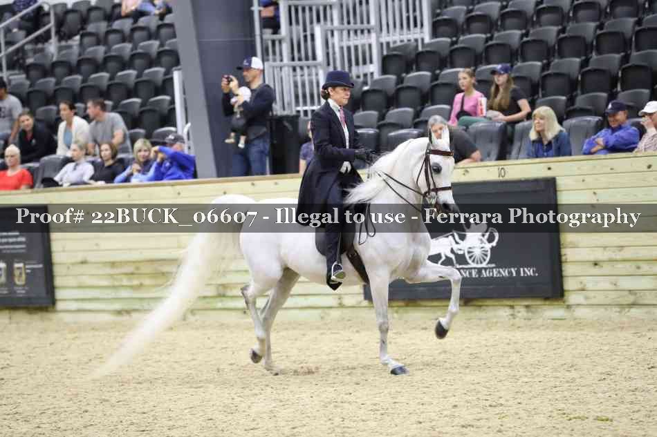 Proof 22BUCK_06607