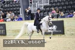 22BUCK_06607 proof