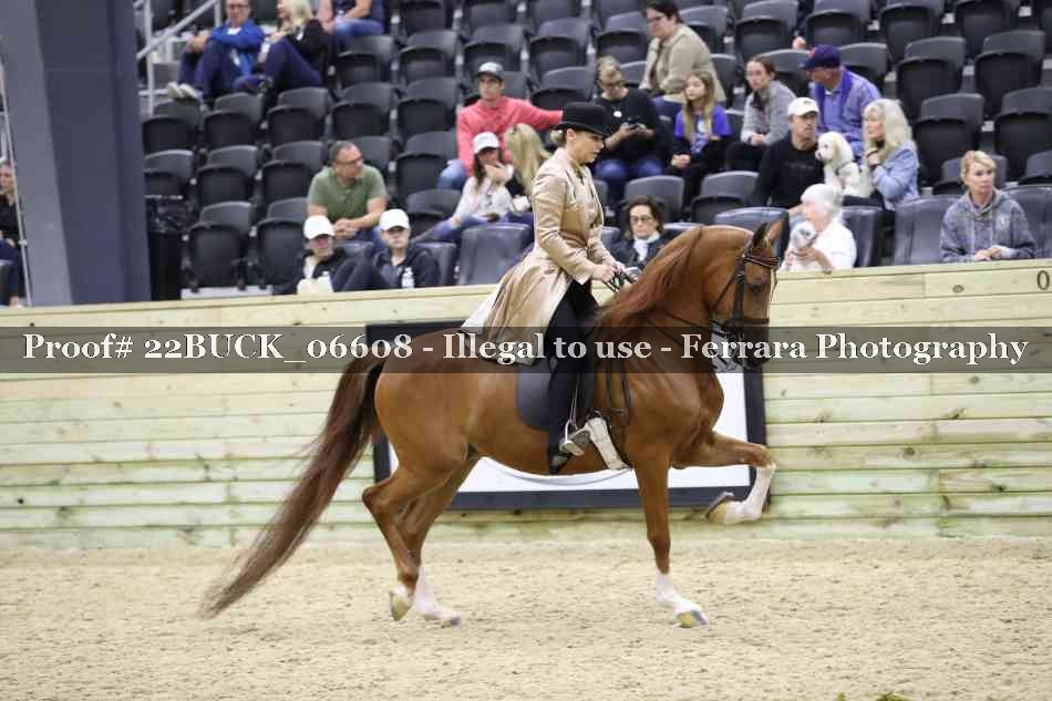 Proof 22BUCK_06608