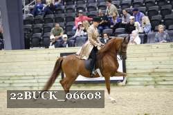 22BUCK_06608 proof