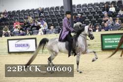 22BUCK_06609 proof