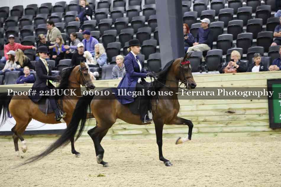 Proof 22BUCK_06610
