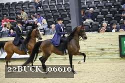22BUCK_06610 proof