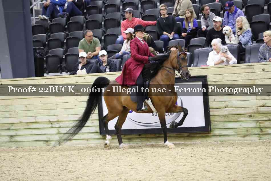 Proof 22BUCK_06611