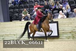 22BUCK_06611 proof