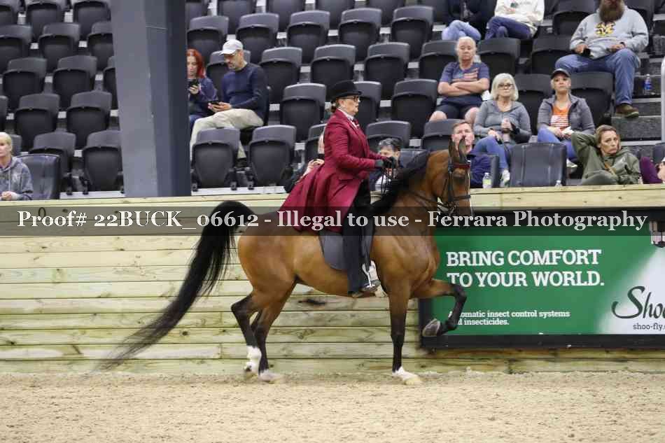 Proof 22BUCK_06612