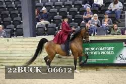 22BUCK_06612 proof