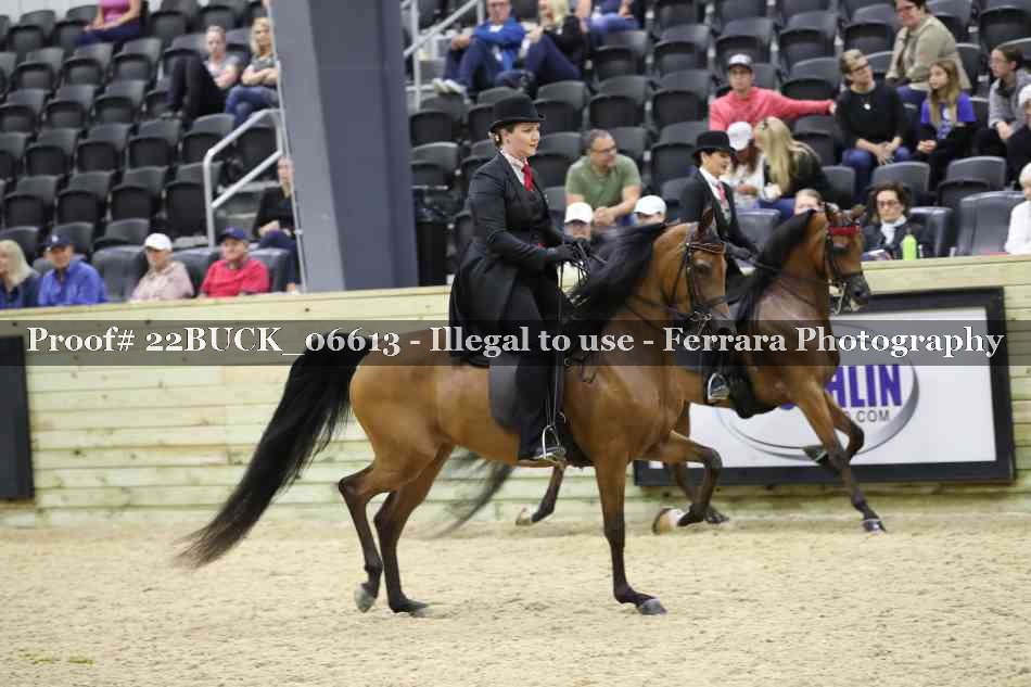 Proof 22BUCK_06613