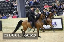 22BUCK_06613 proof