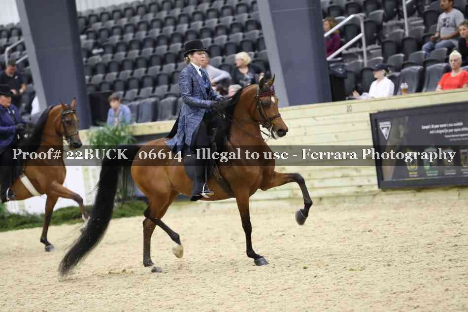 Proof 22BUCK_06614