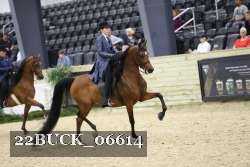 22BUCK_06614 proof