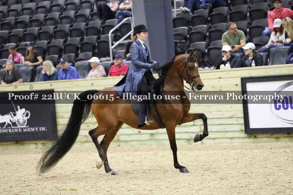Proof 22BUCK_06615