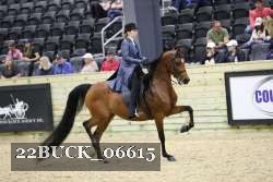 22BUCK_06615 proof