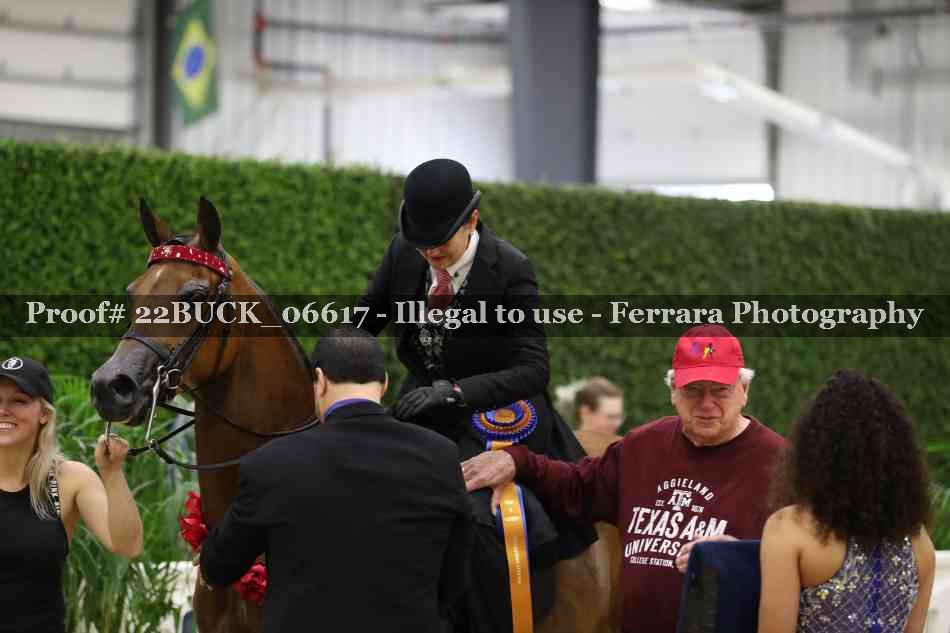 Proof 22BUCK_06617