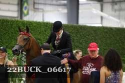 22BUCK_06617 proof