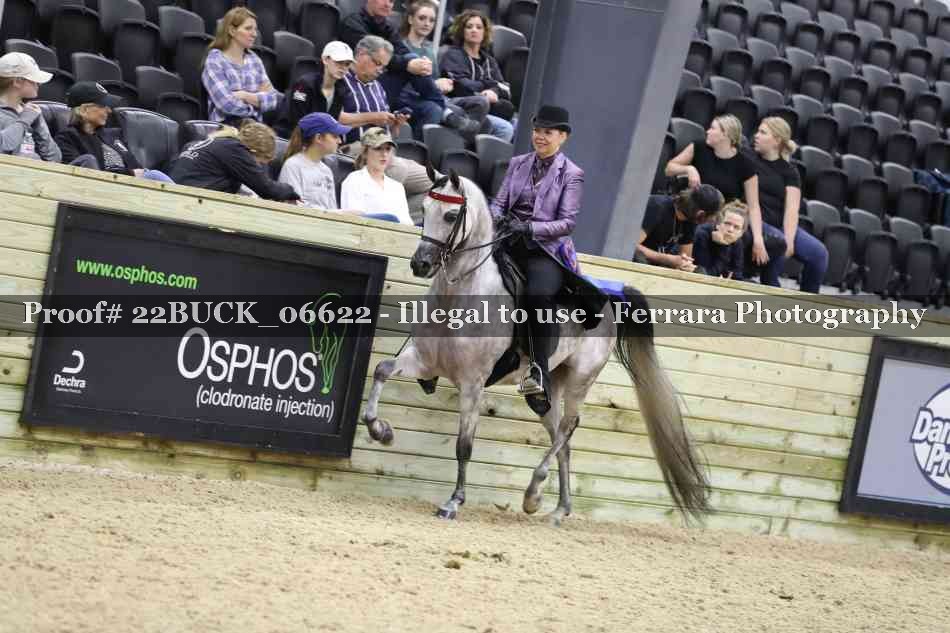Proof 22BUCK_06622
