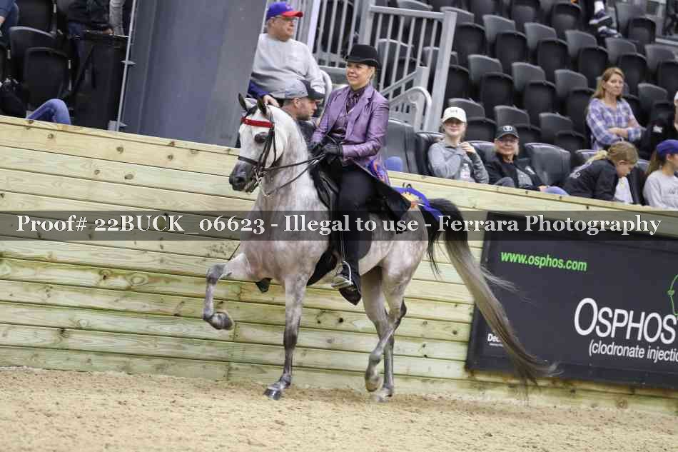 Proof 22BUCK_06623
