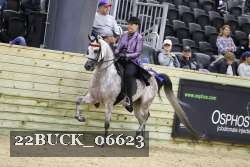22BUCK_06623 proof
