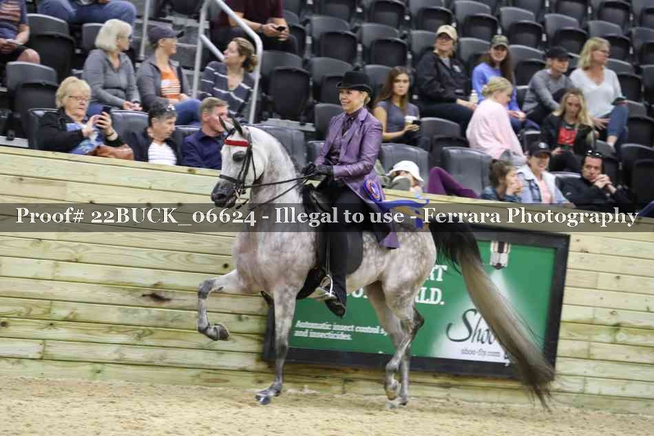 Proof 22BUCK_06624