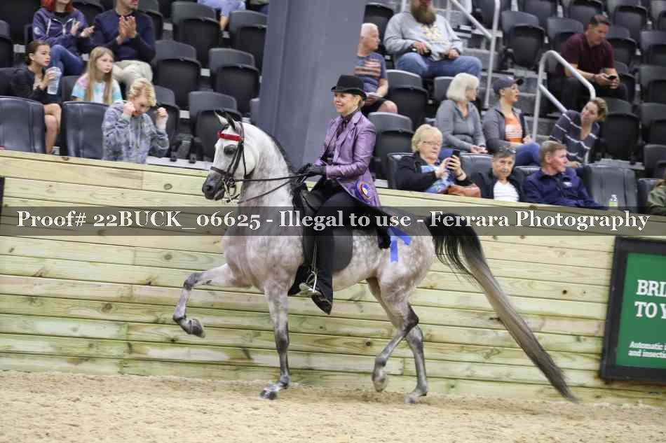 Proof 22BUCK_06625