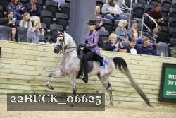 22BUCK_06625 proof