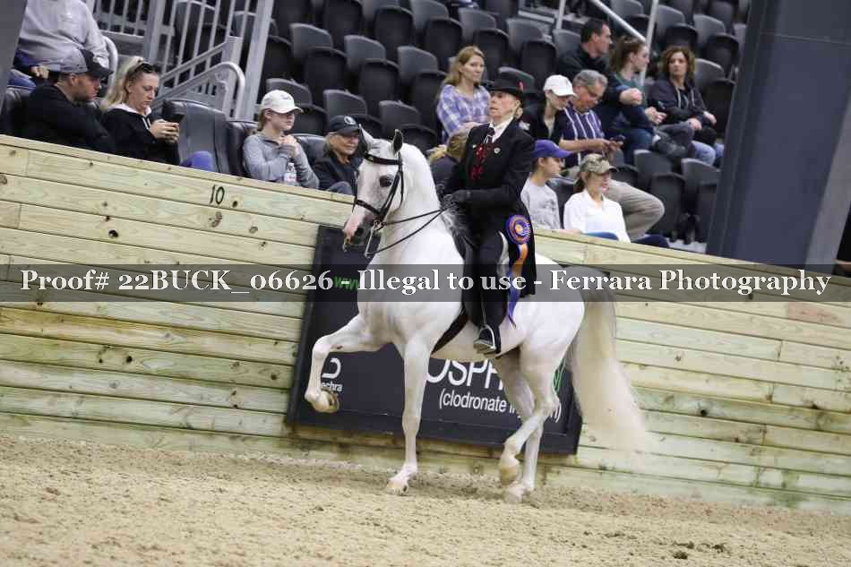 Proof 22BUCK_06626