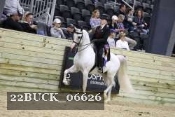 22BUCK_06626 proof