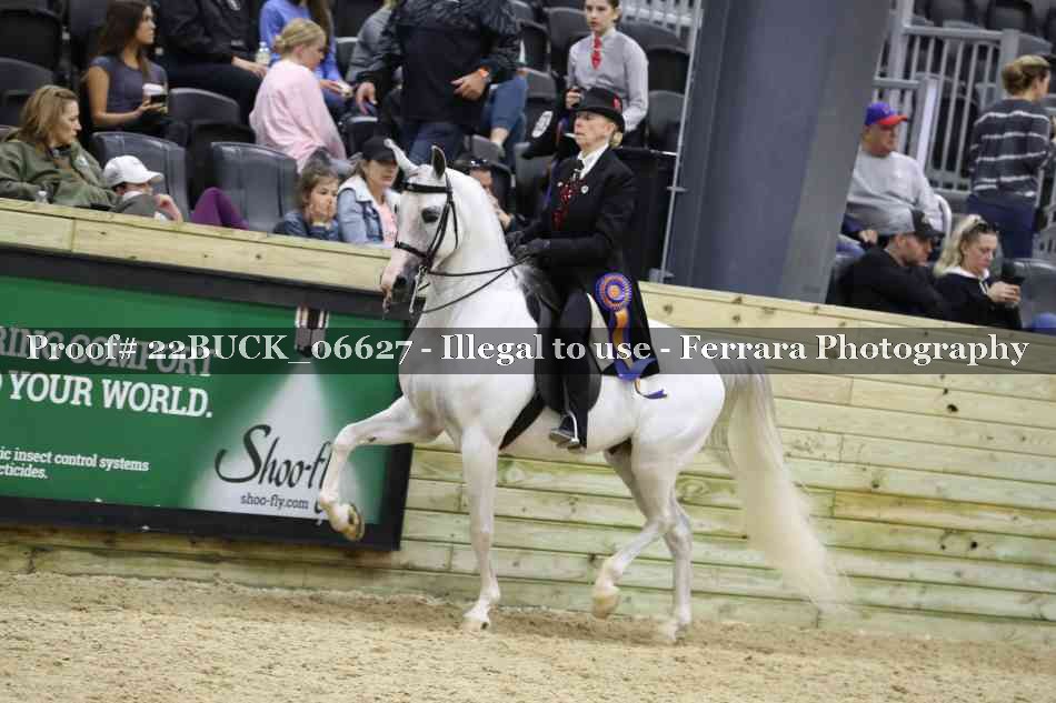 Proof 22BUCK_06627