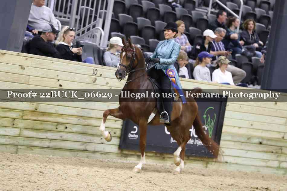 Proof 22BUCK_06629