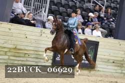 22BUCK_06629 proof