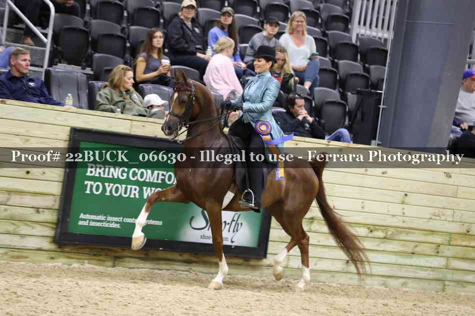 Proof 22BUCK_06630