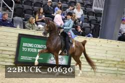 22BUCK_06630 proof