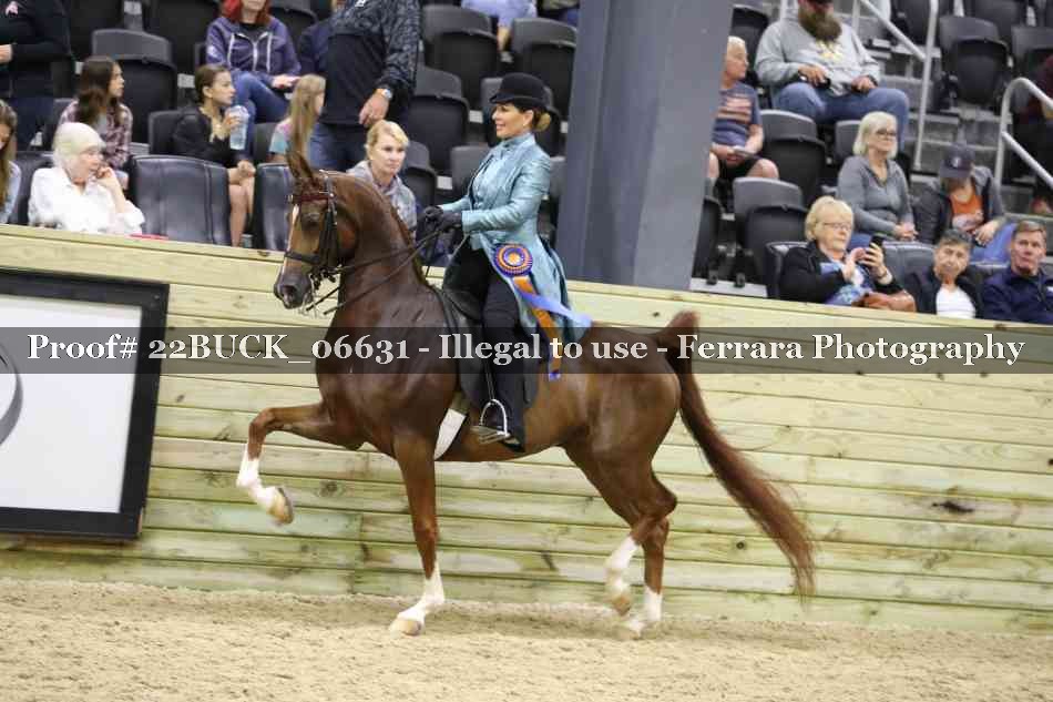 Proof 22BUCK_06631