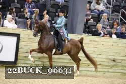22BUCK_06631 proof