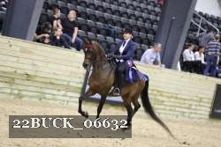 22BUCK_06632 proof
