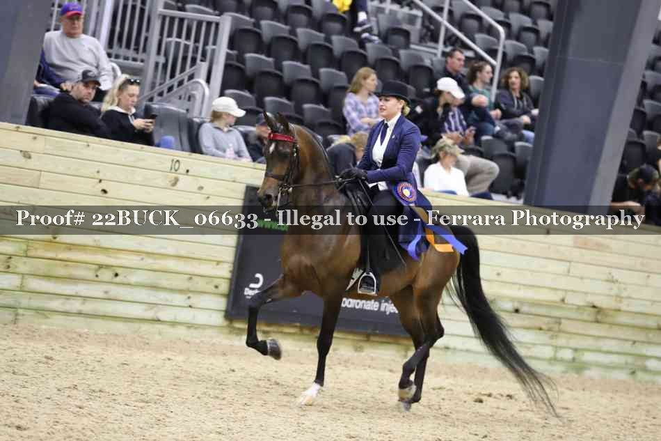 Proof 22BUCK_06633