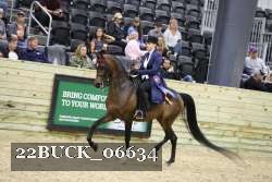 22BUCK_06634 proof