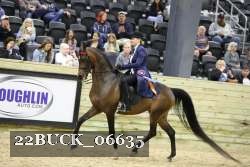 22BUCK_06635 proof