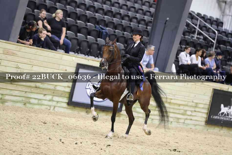 Proof 22BUCK_06636