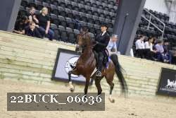 22BUCK_06636 proof