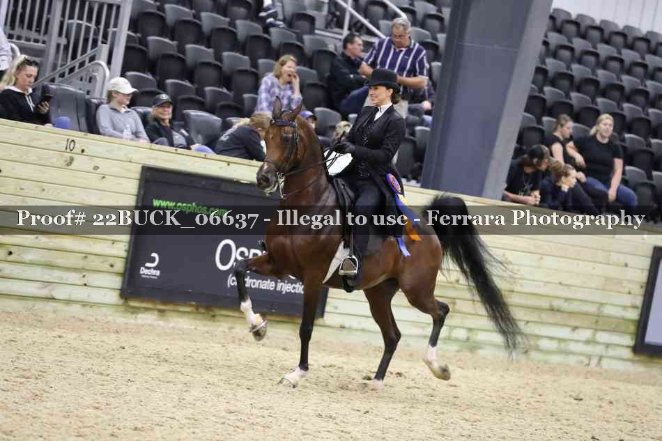 Proof 22BUCK_06637