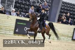 22BUCK_06637 proof