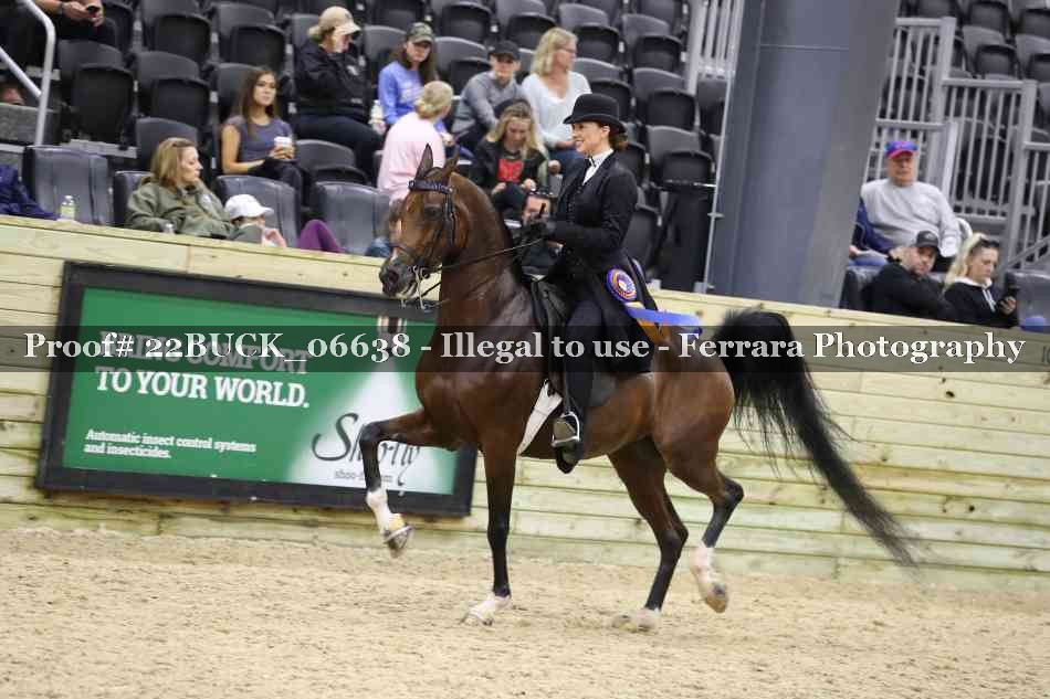Proof 22BUCK_06638