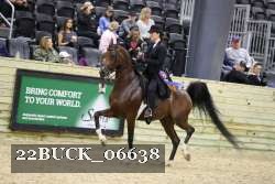 22BUCK_06638 proof