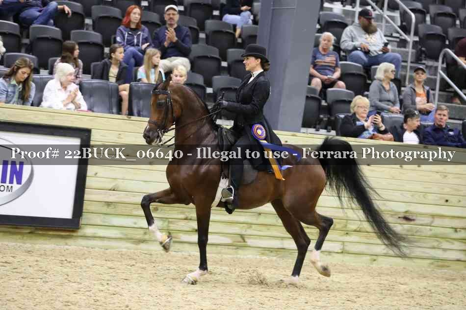 Proof 22BUCK_06640